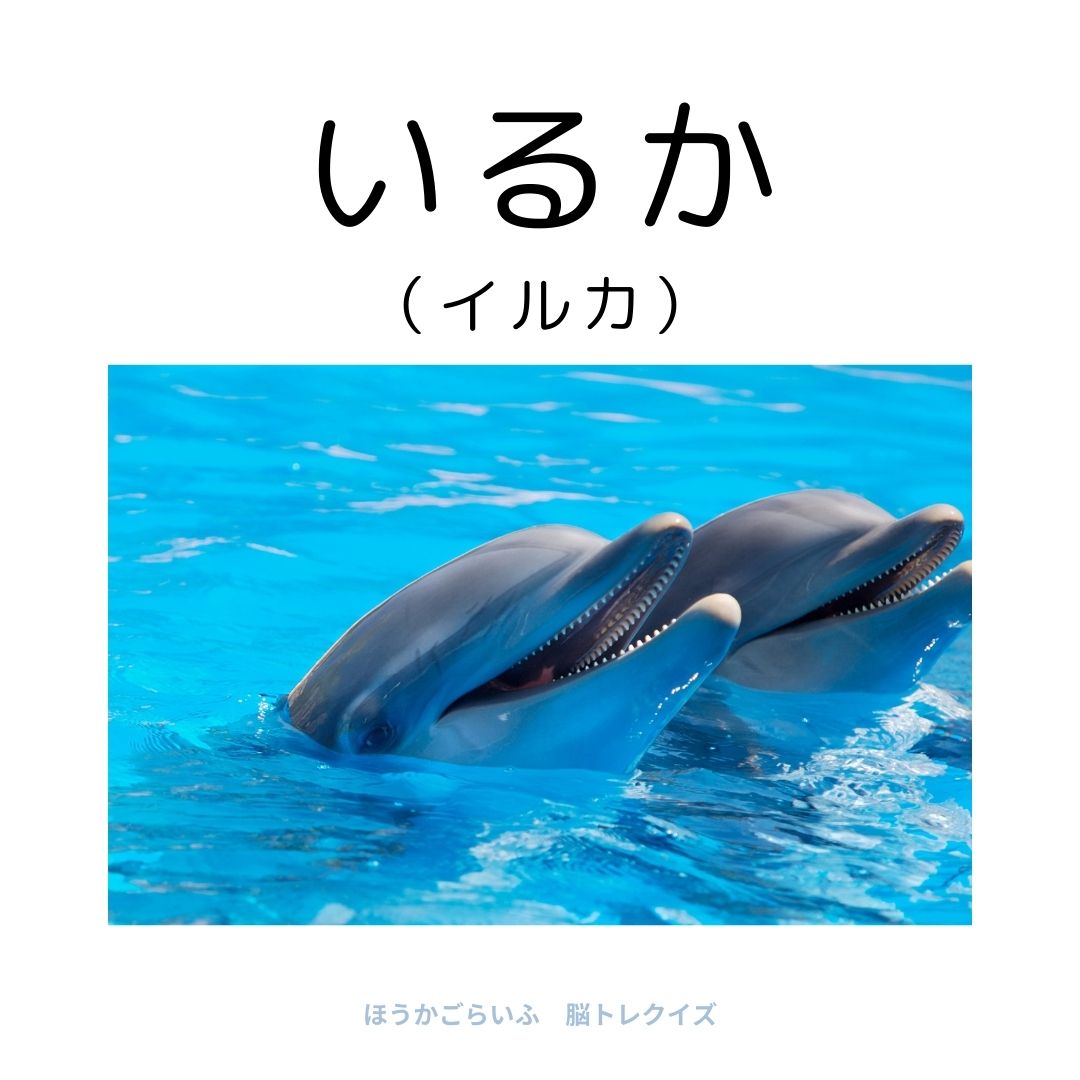 高齢者向け（無料）言葉の並び替えで脳トレしよう！文字（ひらがな）を並び替える簡単なゲーム【動物の名前】健康寿命を延ばす鍵